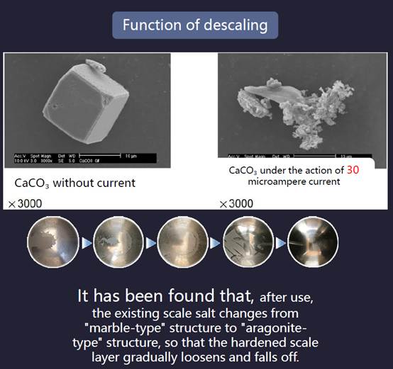 网站, 日程表AI 生成的内容可能不正确.
