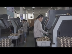 Beishun 활발한 봄 생산 라인