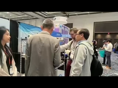 WQA 미국 활발한 봄