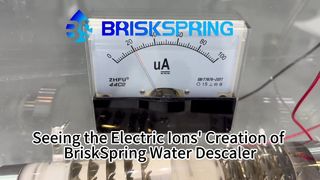 전기 이온의 BriskSpring 워터 디스케일러 3 생성 보기