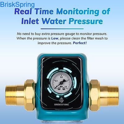 가정용 3/4인치 물 전처리 필터, 5T/H 유량 및 자동 세척 디자인