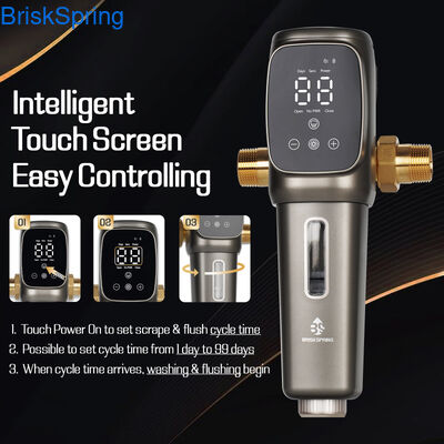 자동 백워치 사전 필터 지능형 퇴적 필터, 빌라, 아파트 및 가정용 물 입력용 높은 흐름 사전 필터