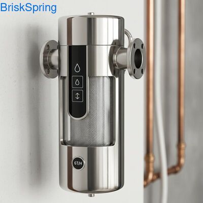 터치 컨트롤과 함께 온 집을위한 높은 흐름 6T H 316L 스테인리스 스틸 메시 물 필터