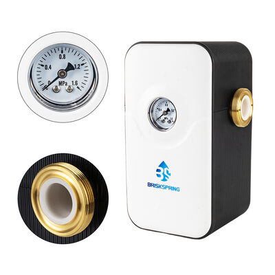 BriskSpring 5T/H Flow Rate Whole House Water Descaler with H59-1 Brass Material and NSF Certification